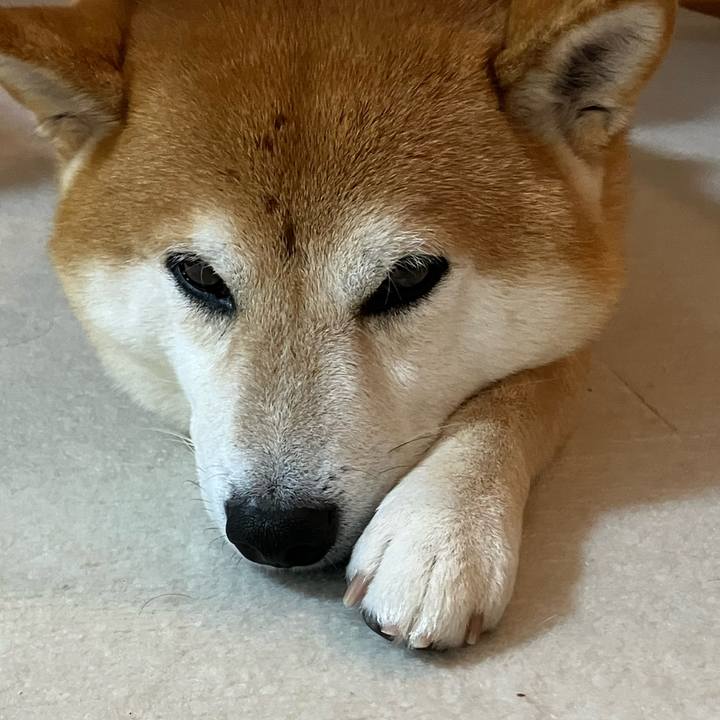 C448a28d e5c3 4ca8 bd9b 2a2b0b09dd94 1764051314831