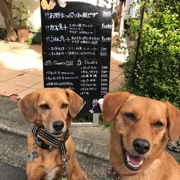 C448cd9c 384d 4600 bbf1 3d1029f1d026 1540009523787