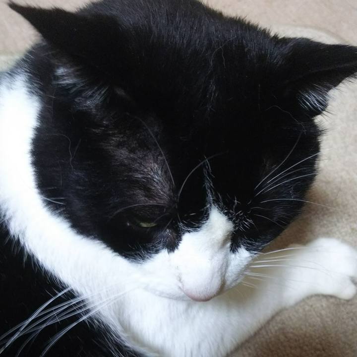 C448eae5 57e9 44e2 a847 04a32d206f0d 1534196799072