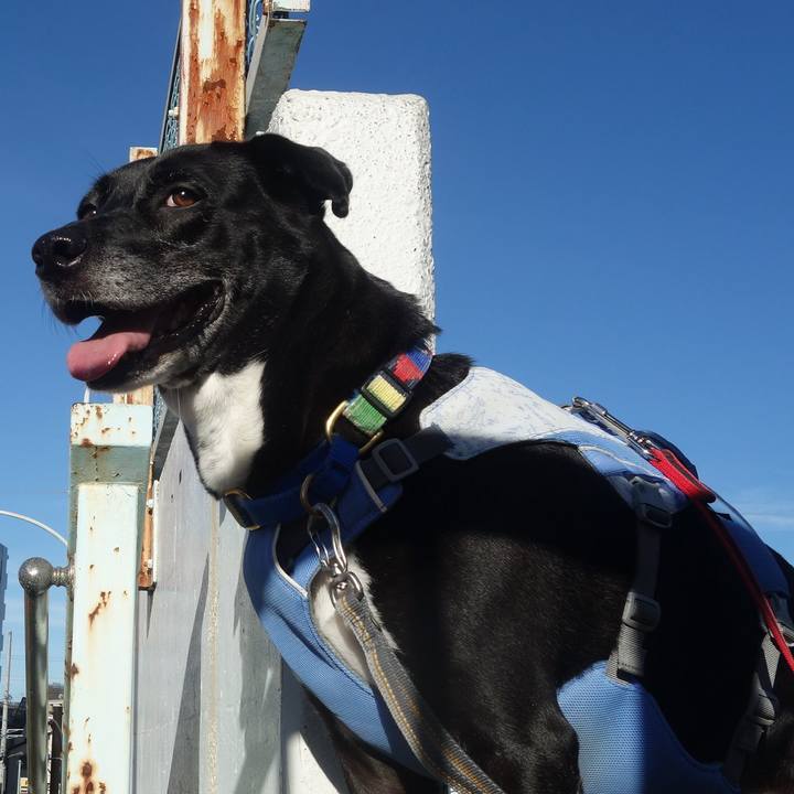 C4491d03 c4e7 48eb 853b 8b76bb076a03 1693525548796