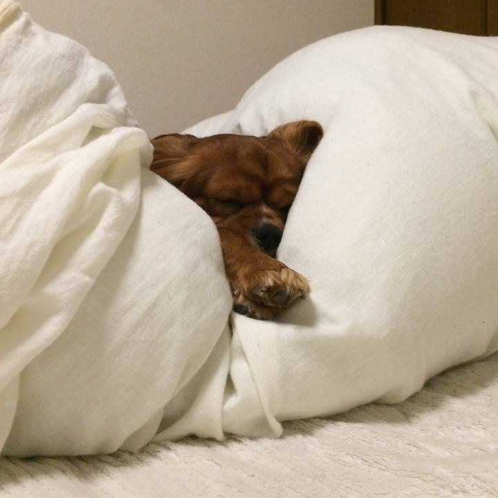 C4491f84 6df2 4f10 9df3 3a9ada0f3f46 1551791463746