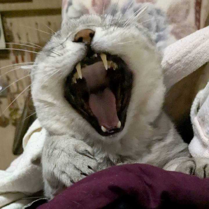 C4492561 9b2a 40de ab0d bcf6a1794019 1739718466966