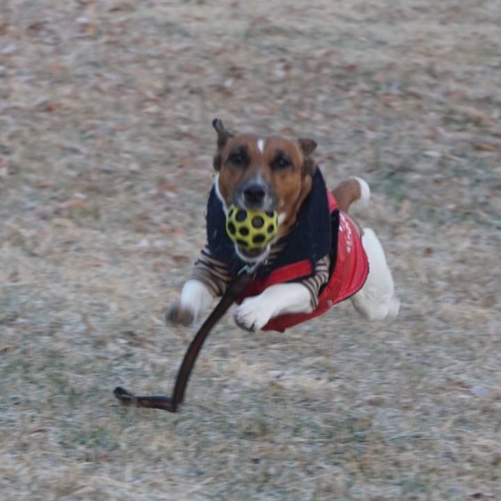 C44940f9 216f 40f4 b784 932fa08d7311 1513810524725