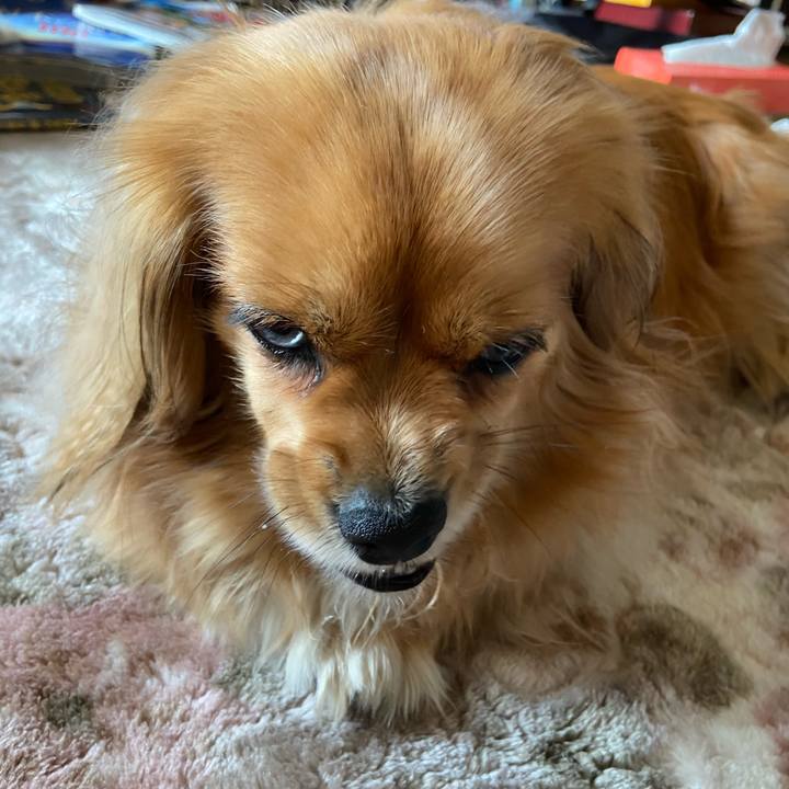 C4497d7a 0143 42c4 a888 b902d6033462 1589753745789