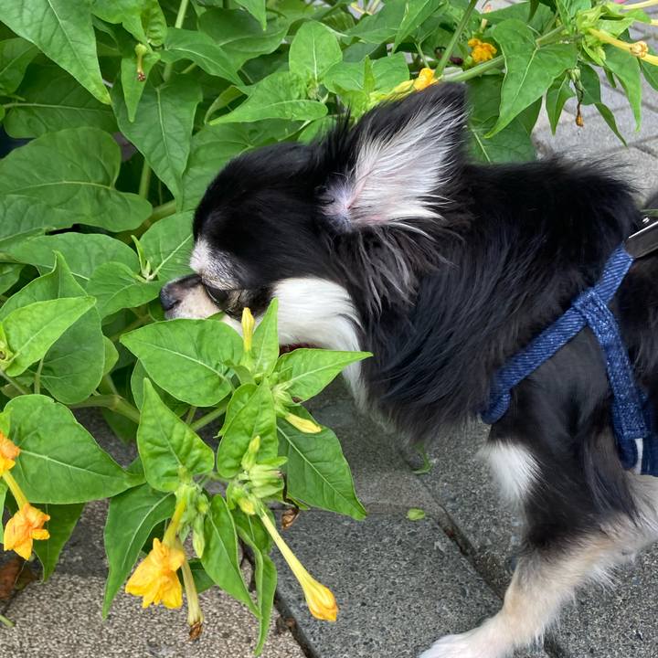 C4498126 da57 4dbb a06f 9a6303fda329 1629602812925