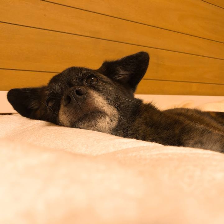 C449a8be 53c0 4e81 955c cc2deddc6274 1594652832585