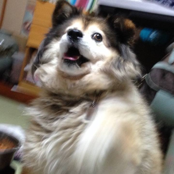 C449b666 ed2a 4aab 8326 008dddc0d974 1610760126241