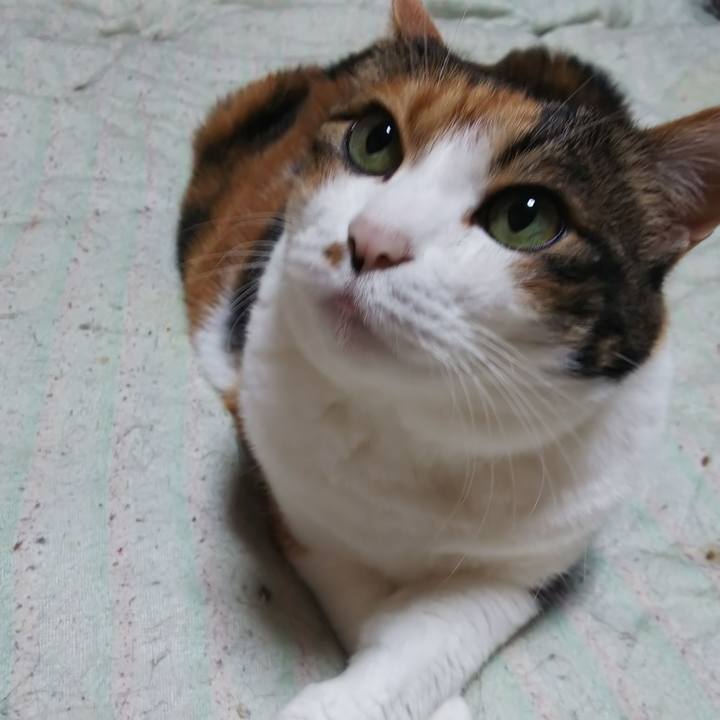 C449cbe6 9fd8 4ec8 adad 142822059cfd 1564436844292