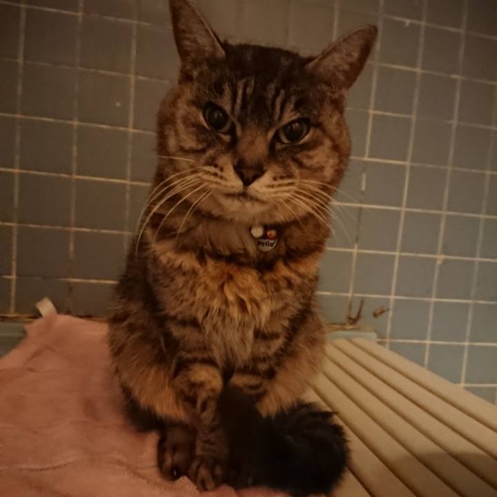 C449df4e b1fa 4580 a15f 1c7041e6818a 1581327219552