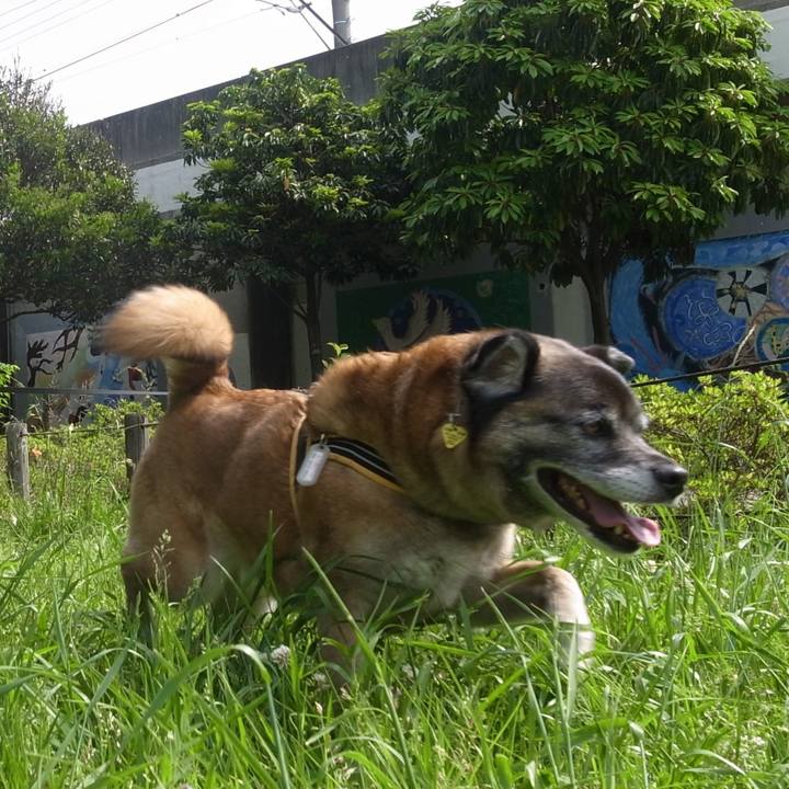 C449fc69 53ac 485b 8982 104d60b0b03d 1586133581582