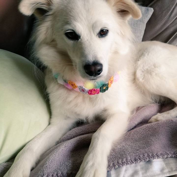 C44a16ec f9df 43e7 9177 ad1488fe0791 1543481896317