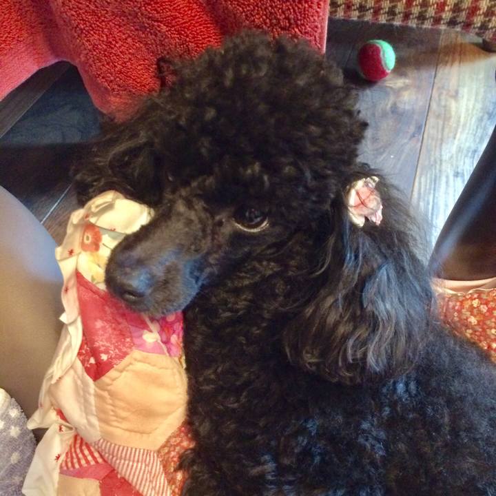 C44a1bd2 694d 4792 9597 a9eeac3b613e 1528329565824