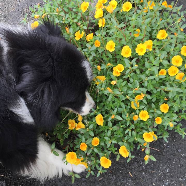 C44a1d75 76e9 4627 bb55 3a95da41ecb0 1567039046909