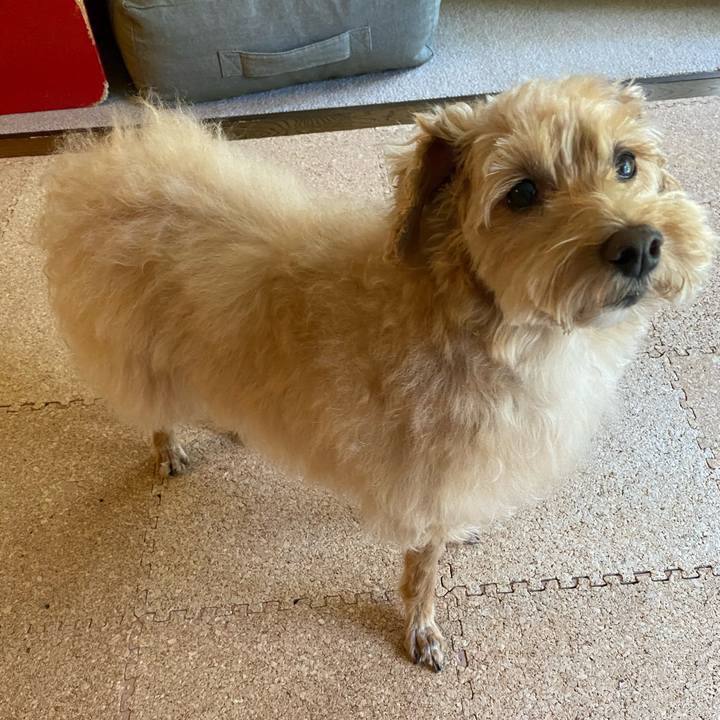 C44a2013 4d83 44da a1e1 c292d70e998c 1662257387246