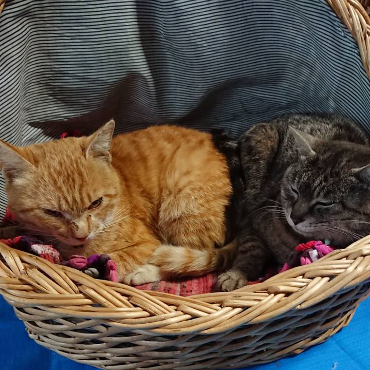 C44a4ab6 7fff 4d77 867e 1d7eebb0b501 1558298992888