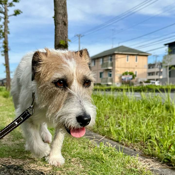 C44a5392 8665 4e21 8c92 61191444364a 1746941742868