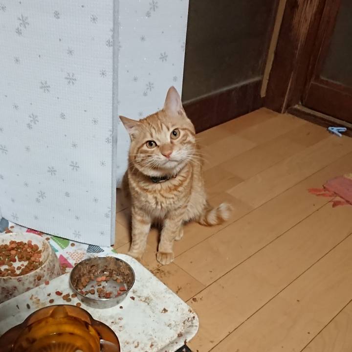 C44a5590 0246 4fbe b588 834aab7ea5a2 1646599907384