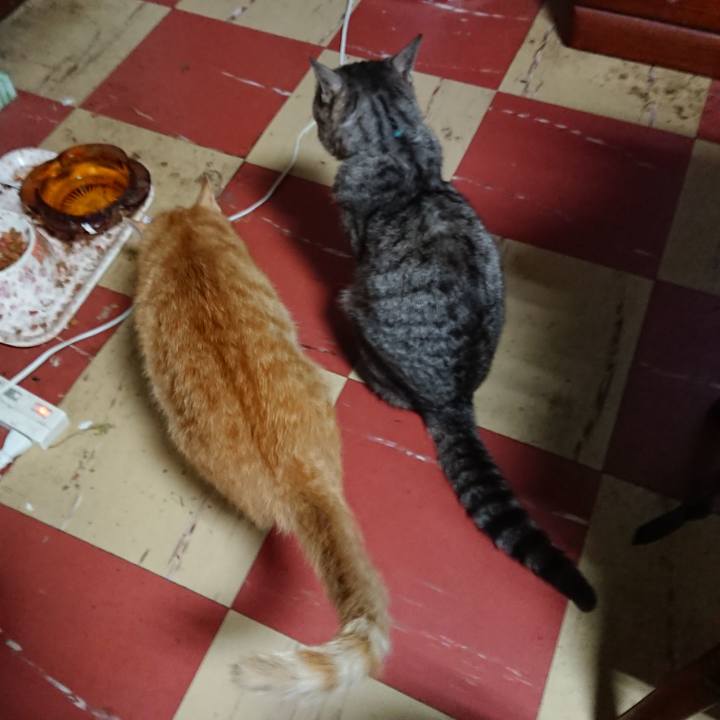 C44abdb9 8b00 4c42 981e 071753d96559 1560553287692