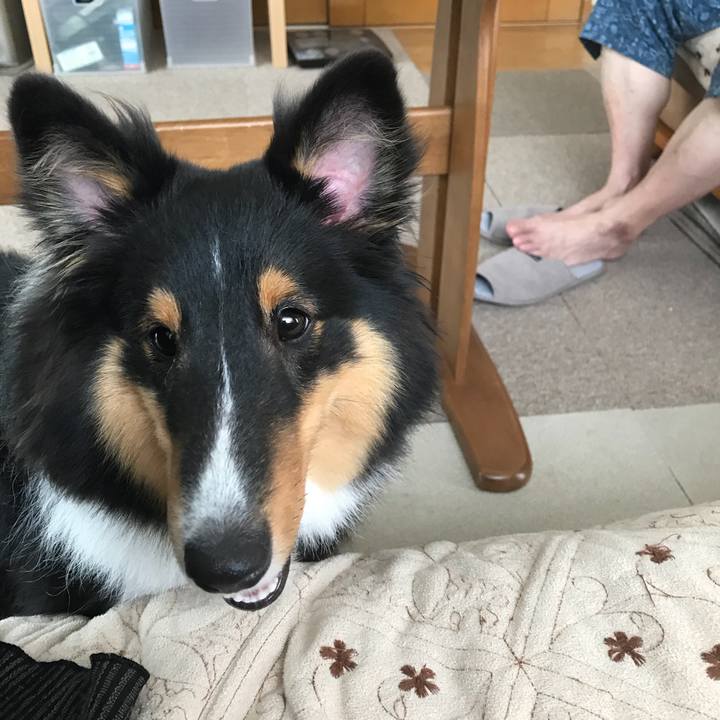 C44af71e 252a 43cf b791 685dd09fdee4 1531722525224