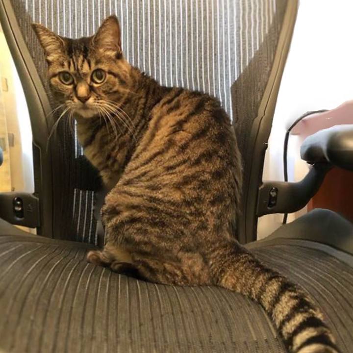 C44b1b9d 92be 467a a6d9 91dfd4ea400e 1760251127545