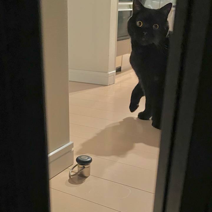 C44b2eb2 62bd 434b adc9 5ce9833d2f17 1736945634482