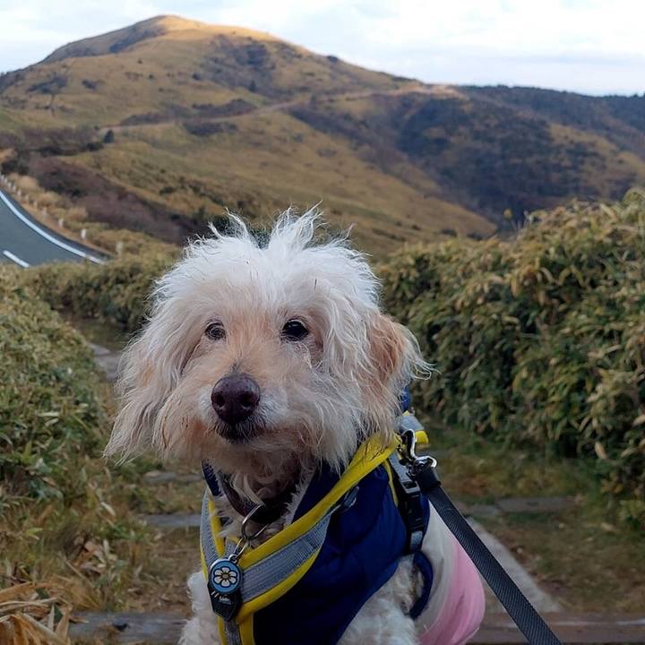 C44b38f2 7bb7 4a5c 900d e6b570b53370 1703740692009