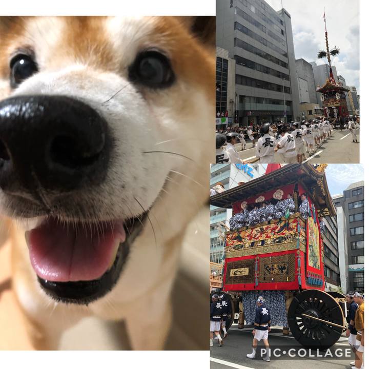 C44b6e4b 43a6 4f20 a401 348ec8d40aa1 1563364857818