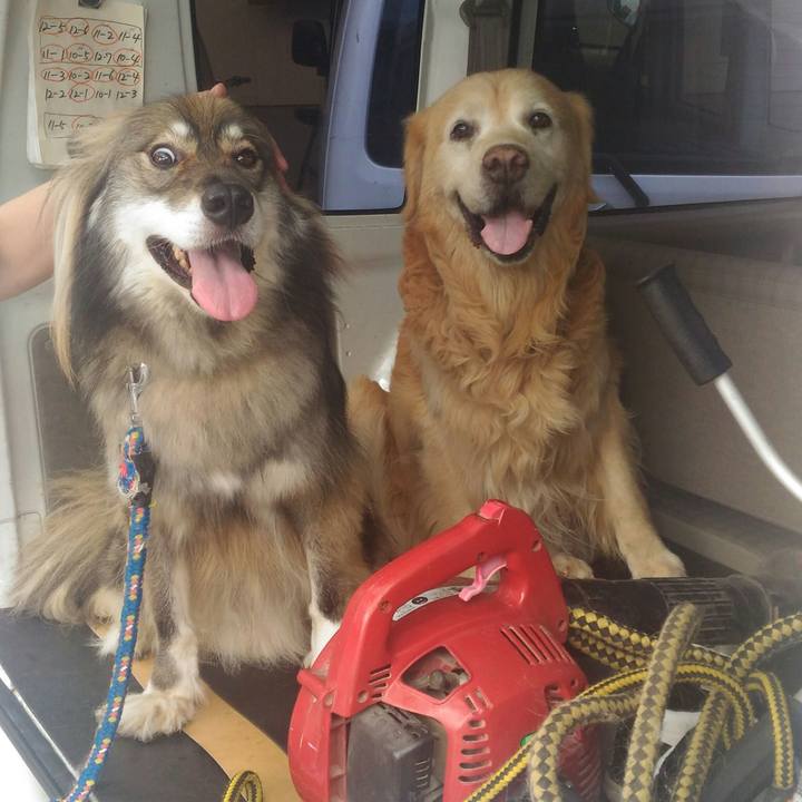 C44bdb65 ae87 4001 9e4b d0b46cd7fe3b 1562309629023