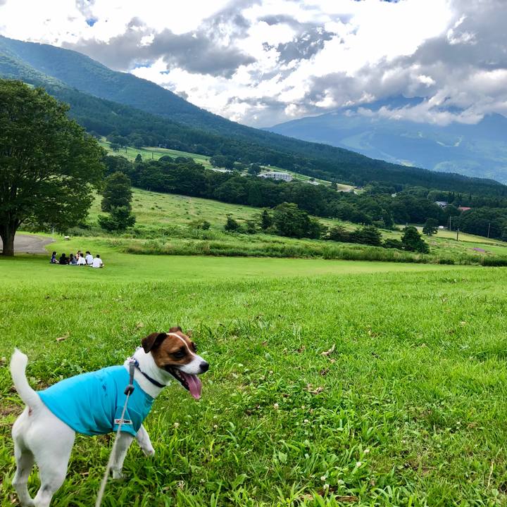 C44be224 3427 44d7 a2ec 93a985f0edf2 1597131060955