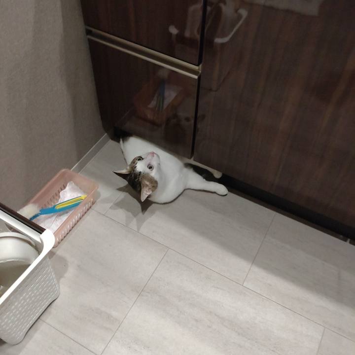 C44c1156 a286 4684 ae8c 37711f11968d 1761443987839