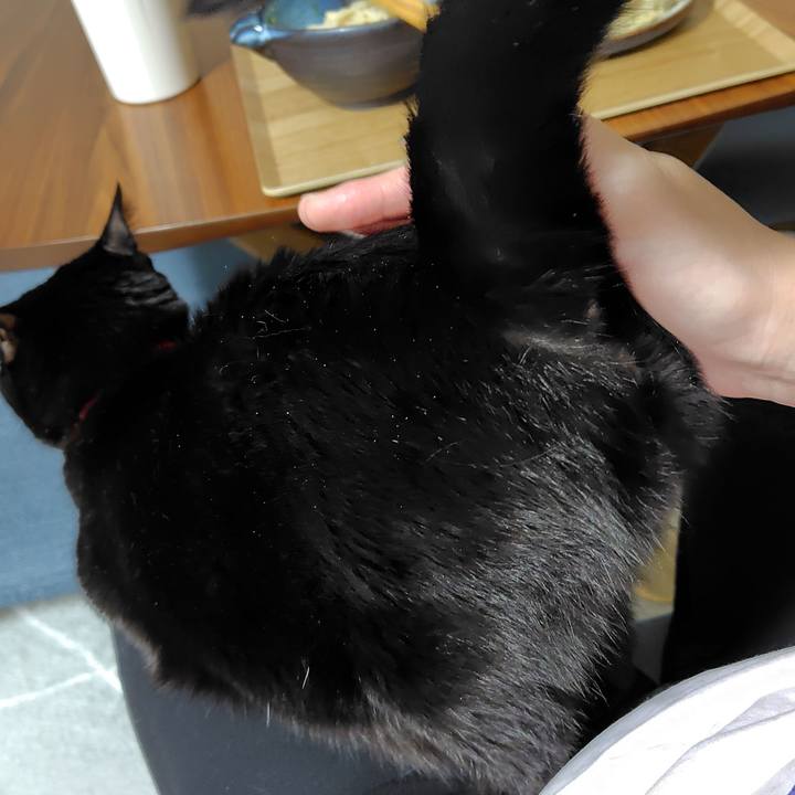 C44c5a19 3504 4606 8379 d032b5438b5b 1759144911328