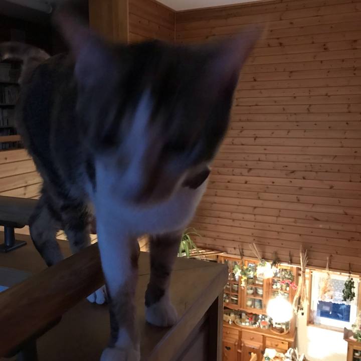 C44c95dc bfba 450b 999e fa09d278d94f 1624789479441