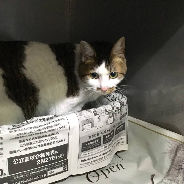 C44cce5f 8503 4c16 b09c c3e5f9dd6cf4 1525088448286