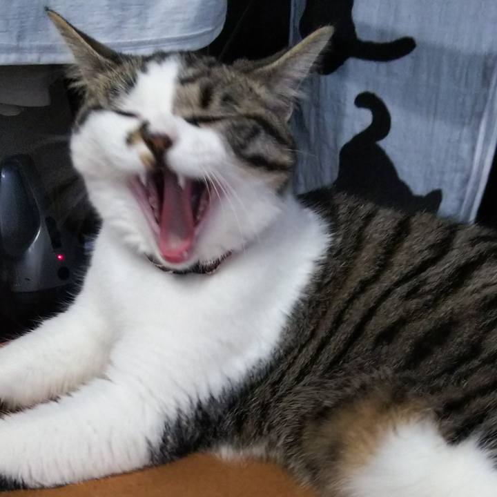 C44cd681 79fb 4788 bb55 538a98972288 1621064459925