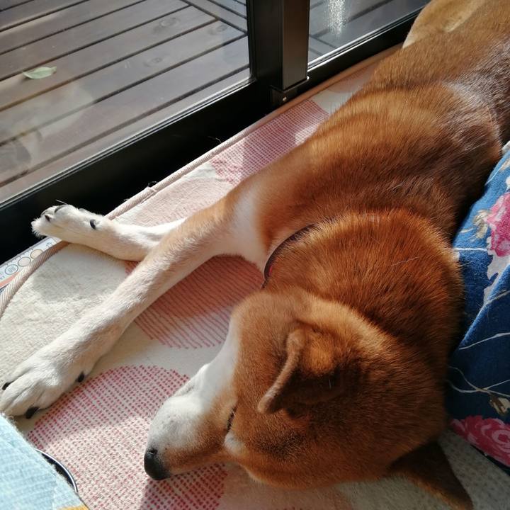 C44ce32b 9689 4aa1 970d 410631cfdab5 1643355973556