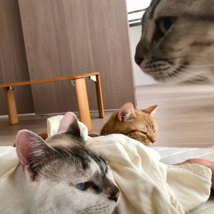 C44ce343 5f18 4d01 9497 182e1dde83fd 1531532157182