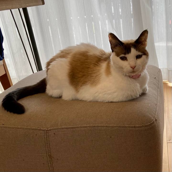 C44cfbfc 3ed7 4aad 997b 3e467a602d7e 1677225249978