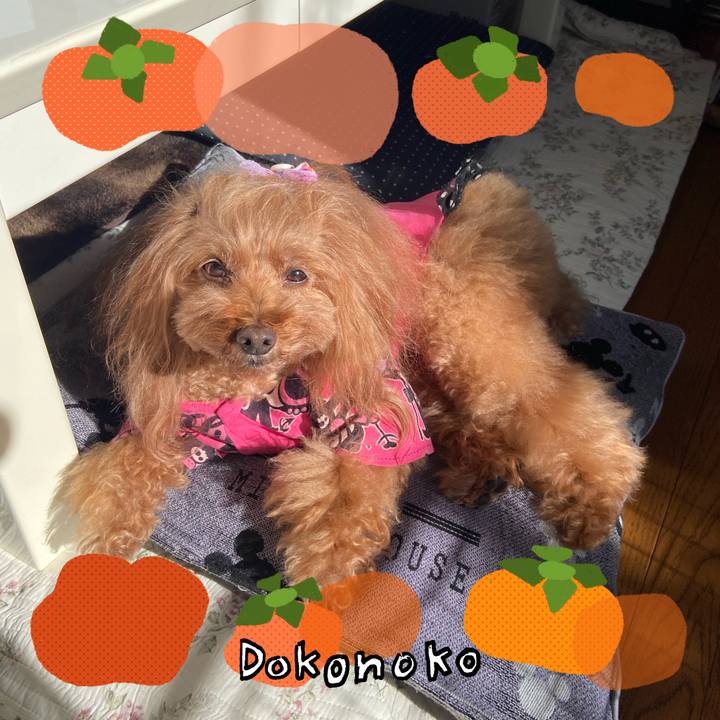 C44d1ada c2b9 4fe2 9239 b9ac98289e7a 1761785541993