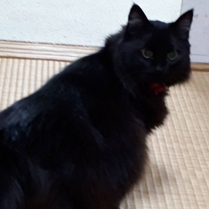 C44d5ea2 8749 4958 a551 5e2bc66ec8c4 1517483905231