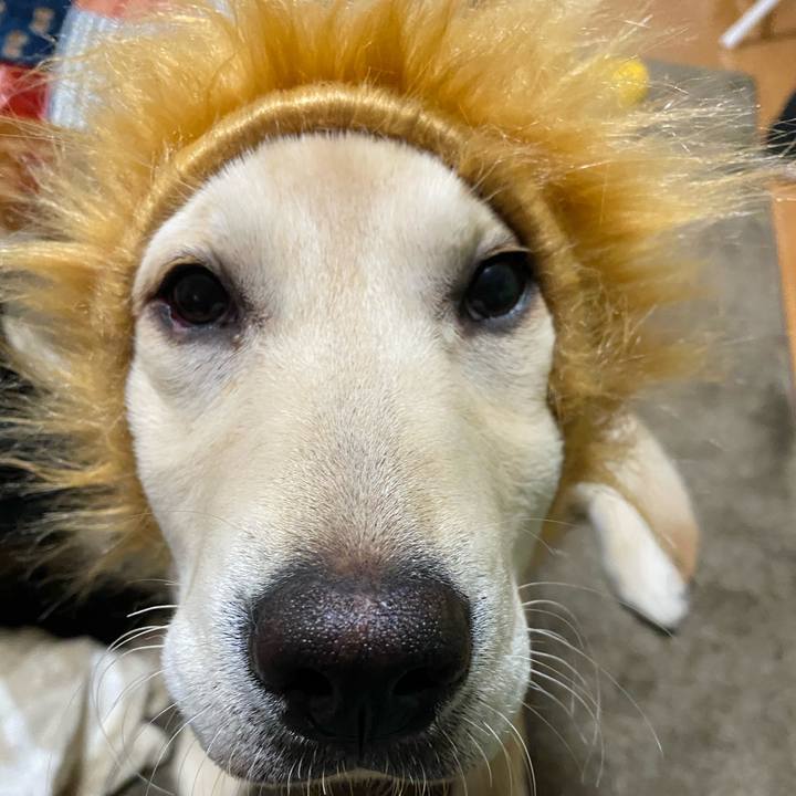 C44d98ee 8c6c 4655 88a9 17cf5226f8d1 1616538605159