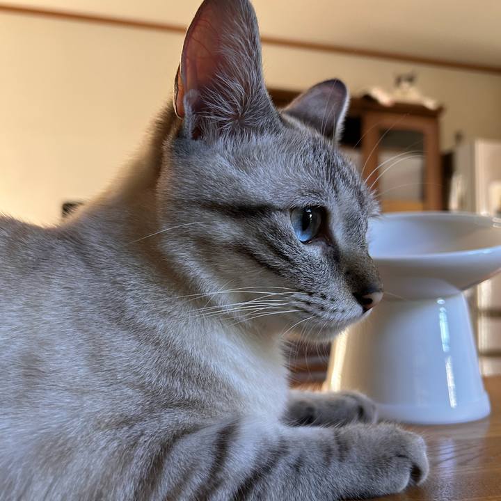 C44daa62 7e75 457a 80da e5fdb037d812 1755729632180