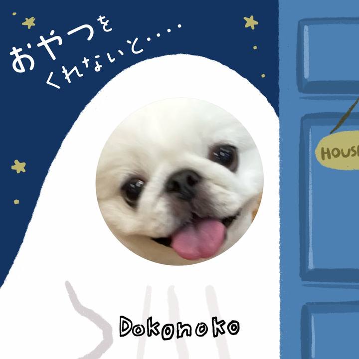 C44dc1e5 eca9 44df bb9a 4fd160e99766 1729377922195