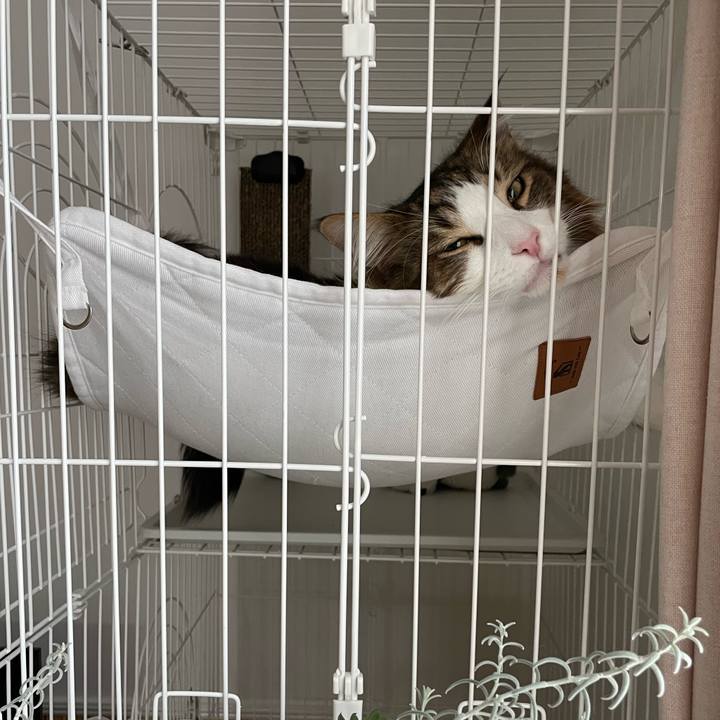 C44e0115 de66 45e3 a828 4609c6828c09 1673217808053