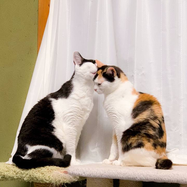 C44e2797 976a 4e18 9b9a d03a8fb81220 1566522646402