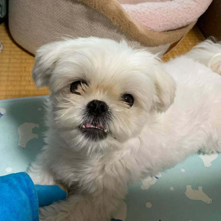 C44e3735 fe0a 4fb3 b2fb 6a5c67786680 1719224599341