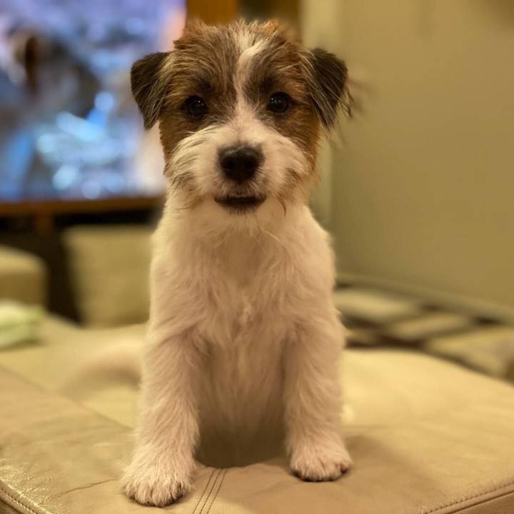 C44e3bde 6b53 4c15 8a5a ad9543575d3c 1577751495042