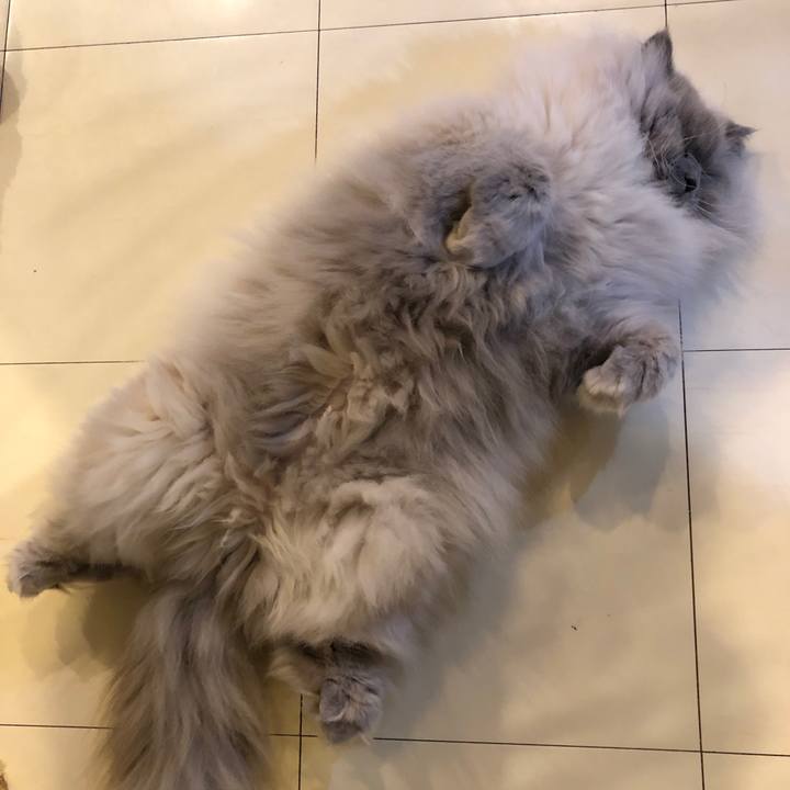 C44e5199 1bce 4648 83b7 920bcd3dc77f 1546649001348