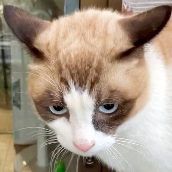 C44e868b 1e47 420f add7 3de2dff65294 1732590601553