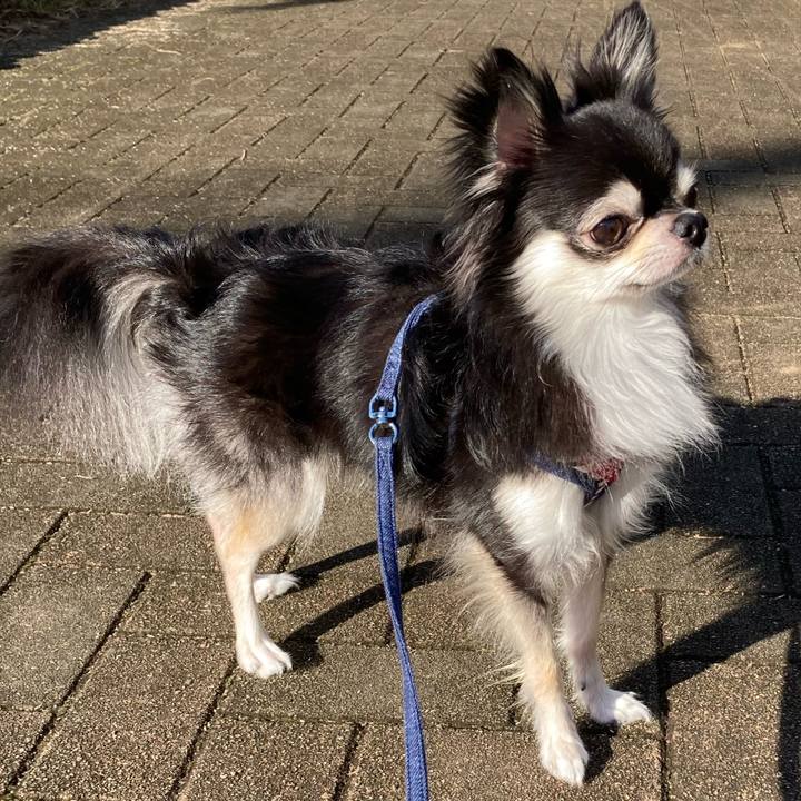 C44e8f4f 5c3c 4453 8a5b c271be42ceca 1664696207024