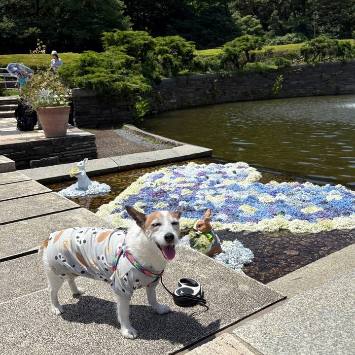 C44e9d17 de66 4024 9424 fc18d8f60d7f 1750551107580